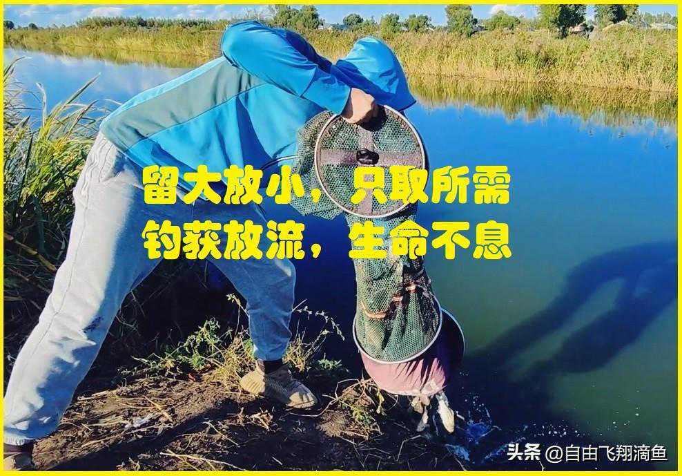 程宁老师的调五钓五和我的调平调一堪称野钓两大利器！