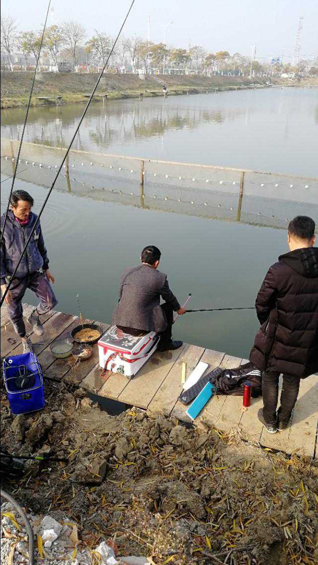 黑坑偷驴想上岸，学会着几个作钓技巧，你再试试看！