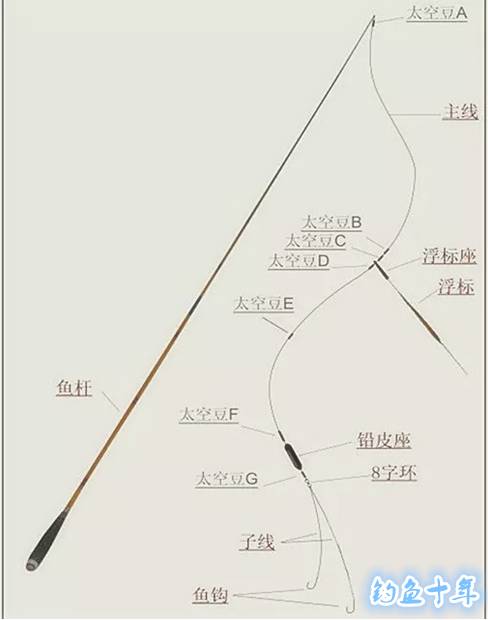 台钓入门必修课
