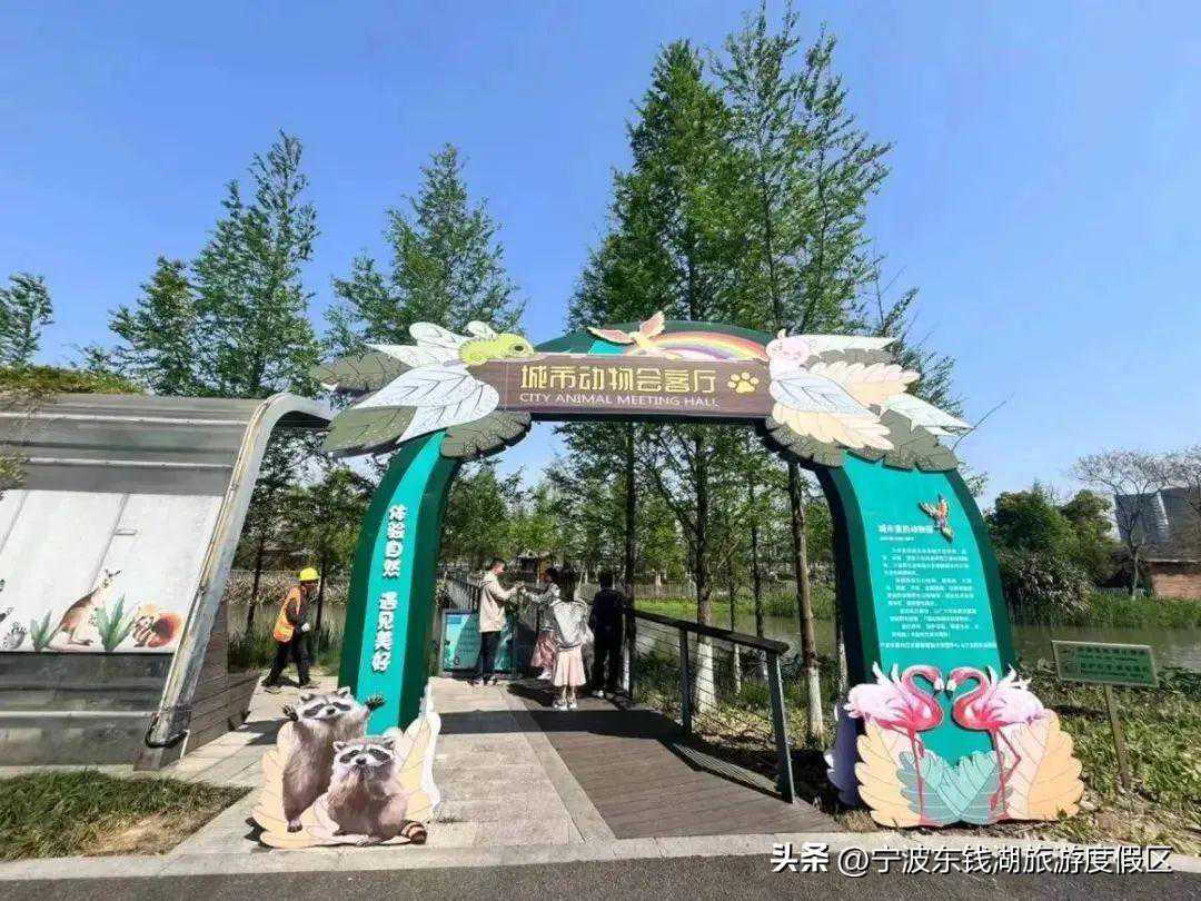 太萌了！“动物会客厅”，又来新朋友啦