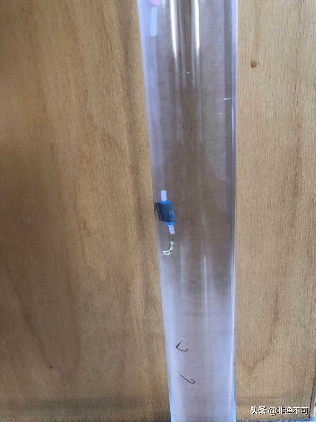 钓鱼调漂：半水的含义及如何进行半水调漂