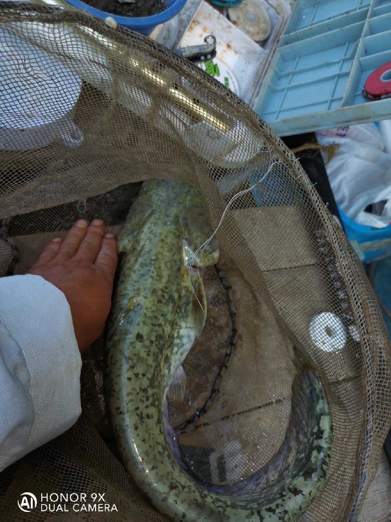 分享一种有效减少缠线的串钩绑法
