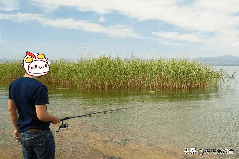 野钓技巧：4种带漂远投钓法，每种钓法都很万能