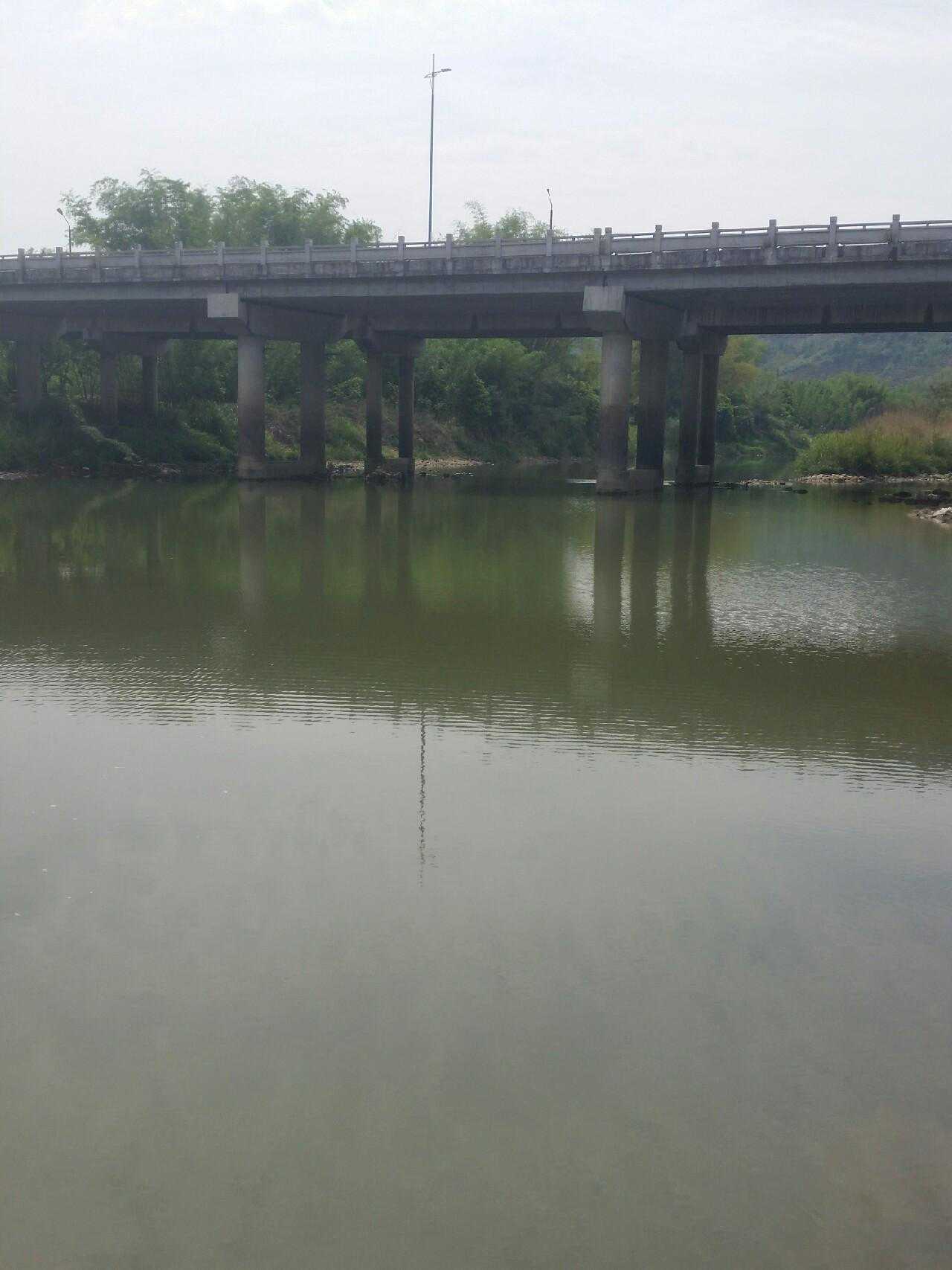 钓友相聚一堂，顶着雨天连续上罗非，真爽