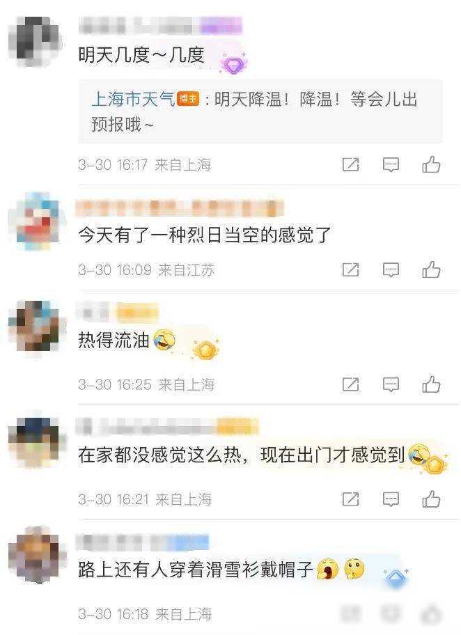 上好，上好！