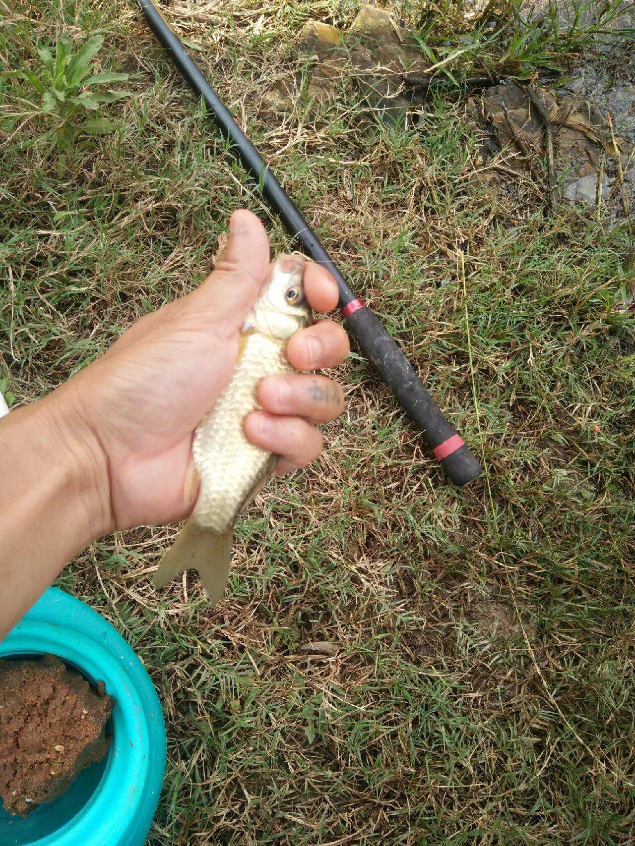 泉水冲水库钓鱼升仙记，暴雨中渡劫成功
