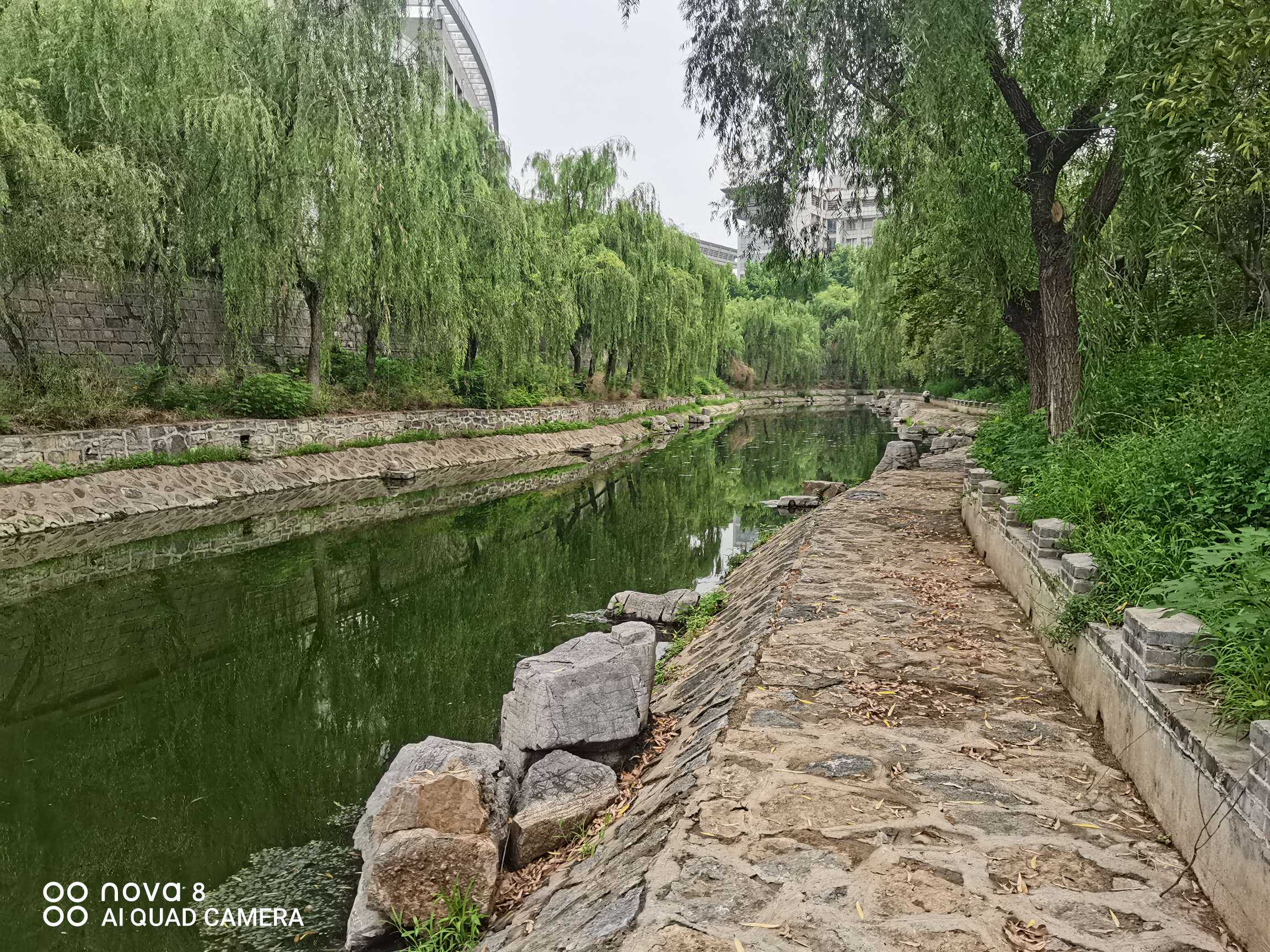 初钓龙湖渔获虽不美丽，但风景依旧美好