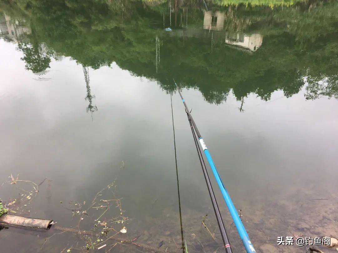 光水钓鲫鱼那点事儿，用长竿太累，但能比别人钓得更多