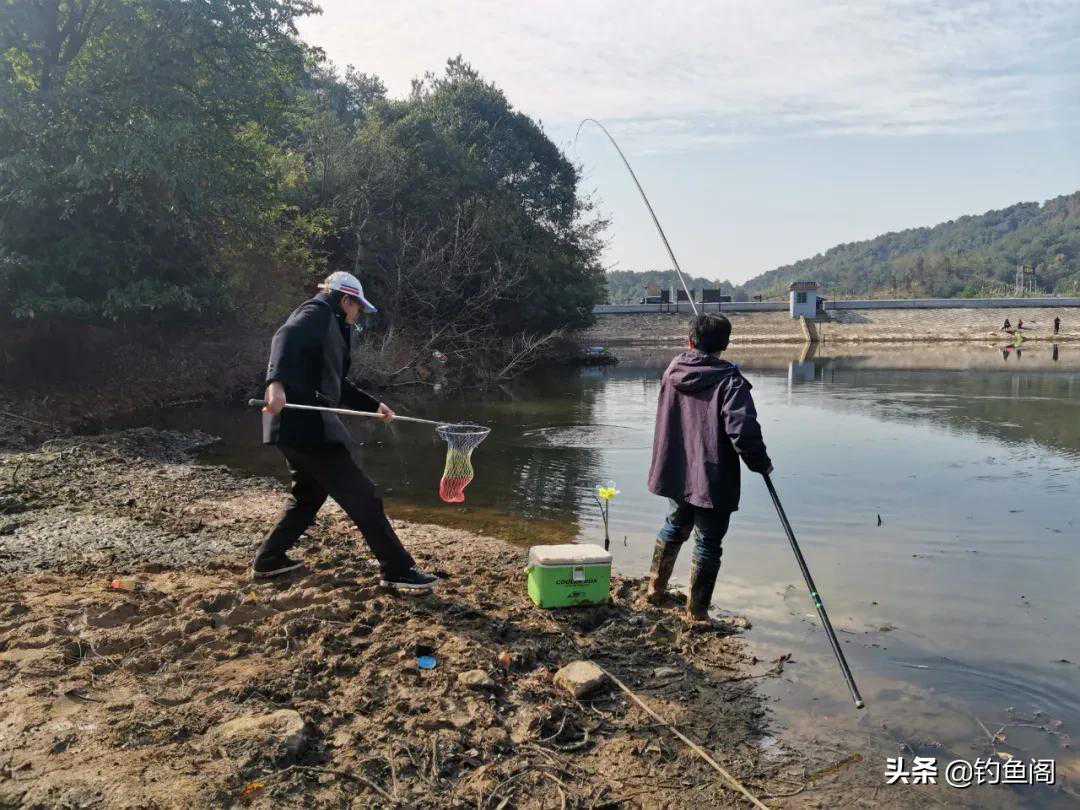 传统钓为何“没落”？不是效果差，这2点才是被打压的原因