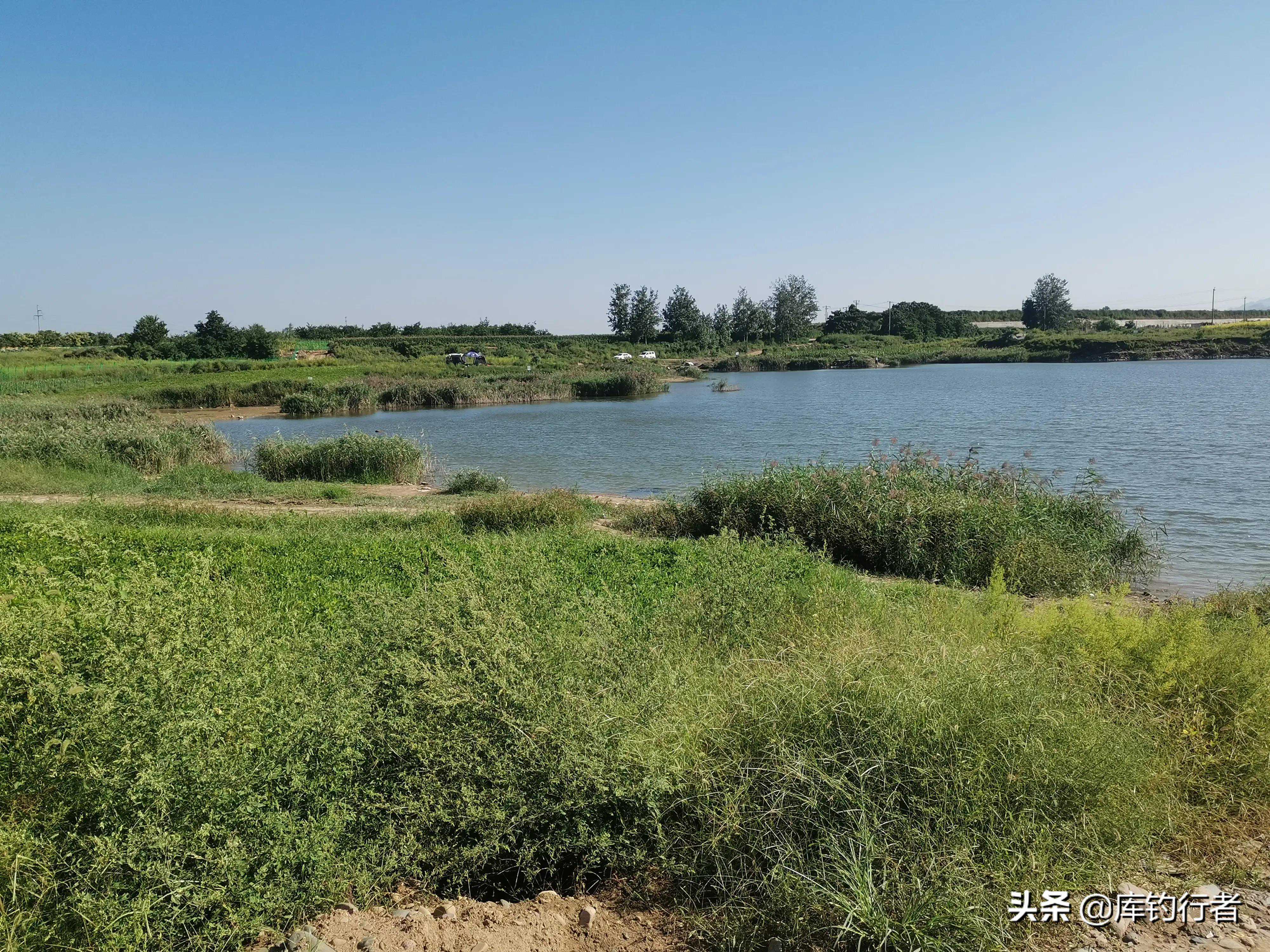 免费钓点介绍，距离石家庄市区很近，大板鲫小鲫鱼在这里连竿上