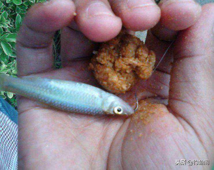 7款被“埋没”的饵料，钓鱼效果不错，但你可能都没听过