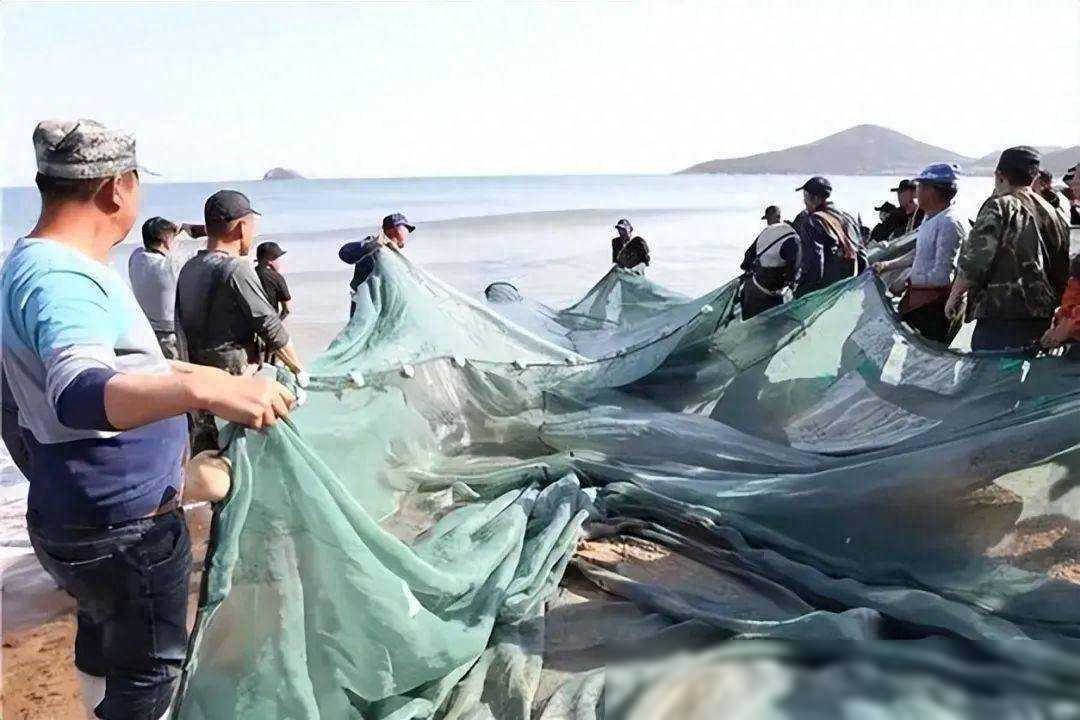渔网的工作原理是什么？底下是空的，为什么能捕捞到大量鱼？