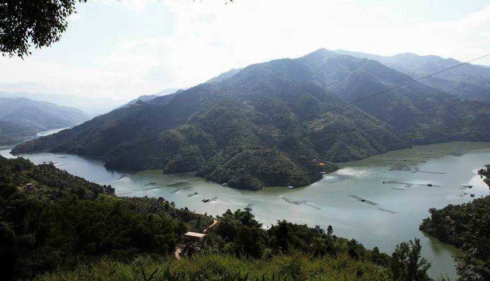 第七届北回归线大江野钓赛事精彩来袭，你准备好了吗？