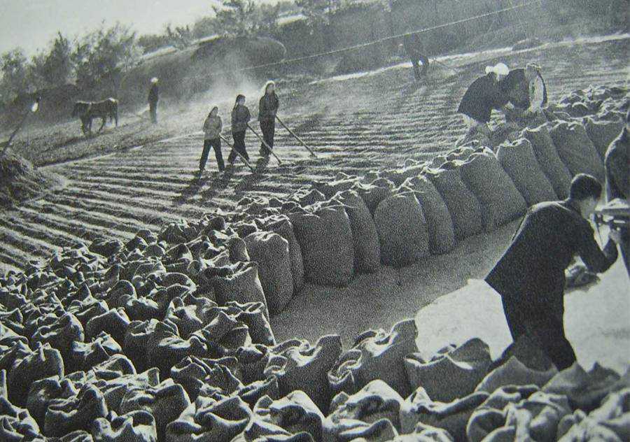 根治海河：关于1975年修建大黑汀水库，采筛沙骨料的记忆