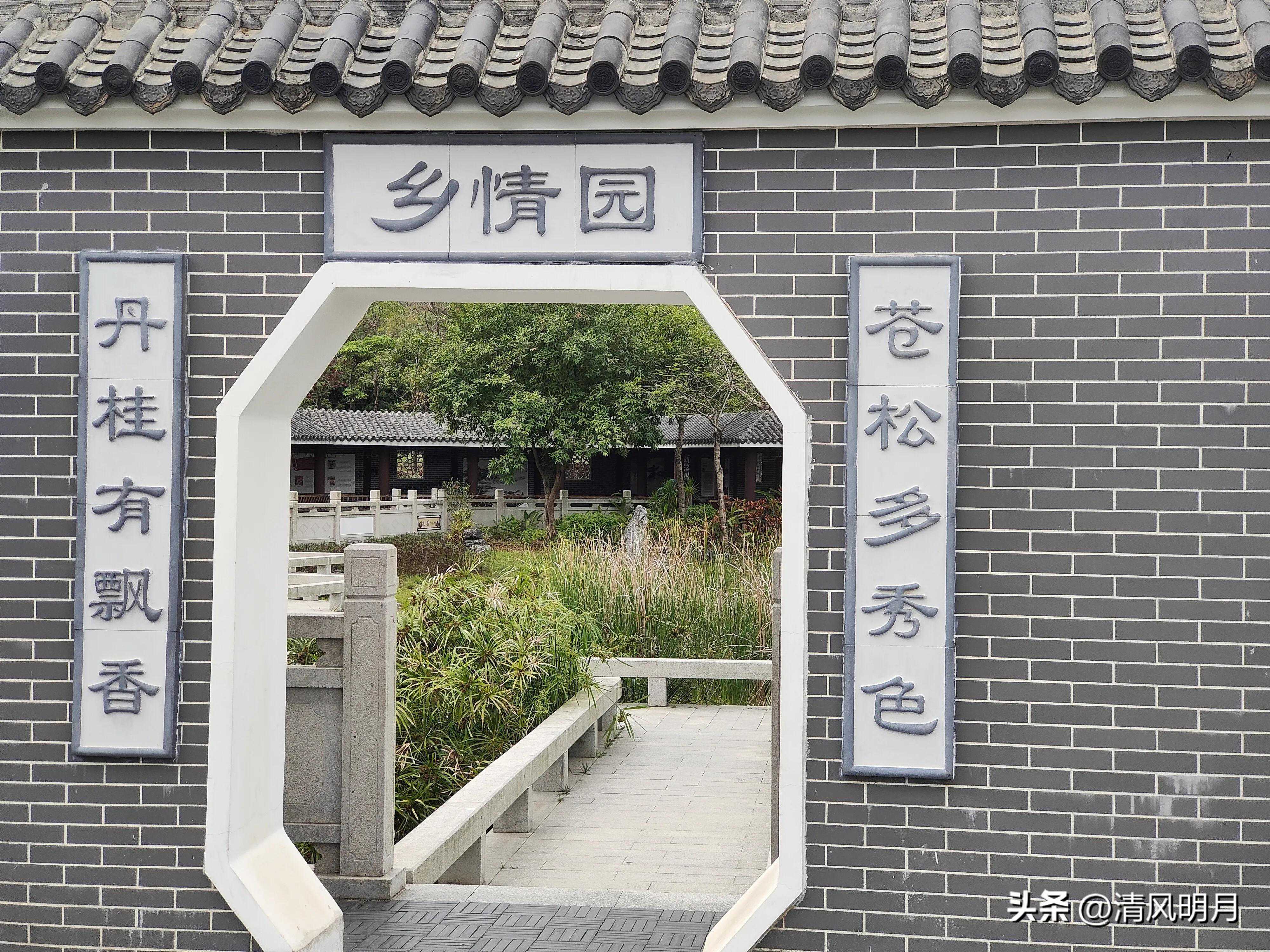 春日打卡，春游松岗五指耙公园