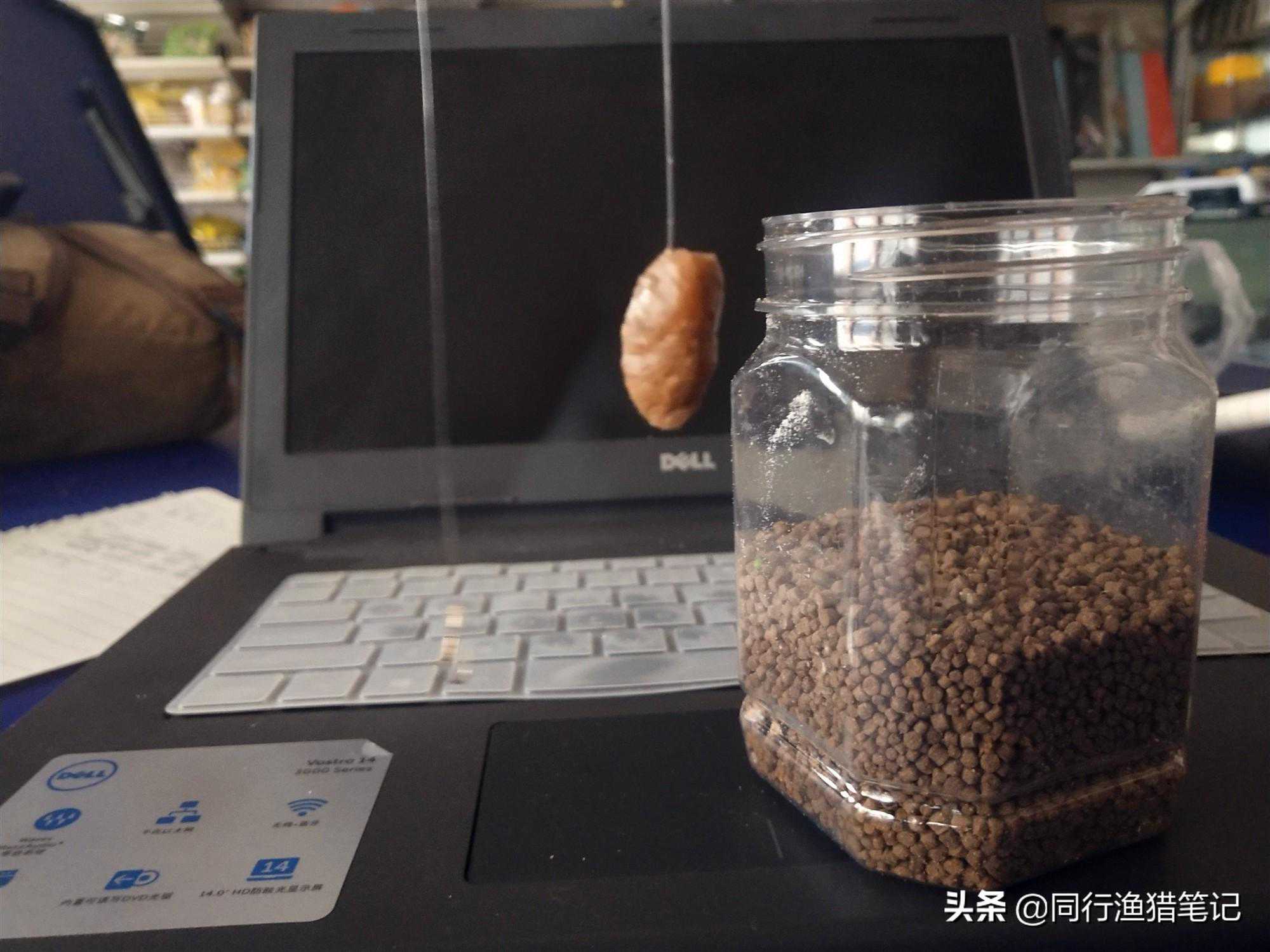 作钓时，长时间停口与短时停口的分析，理清线索找对思路区别对待