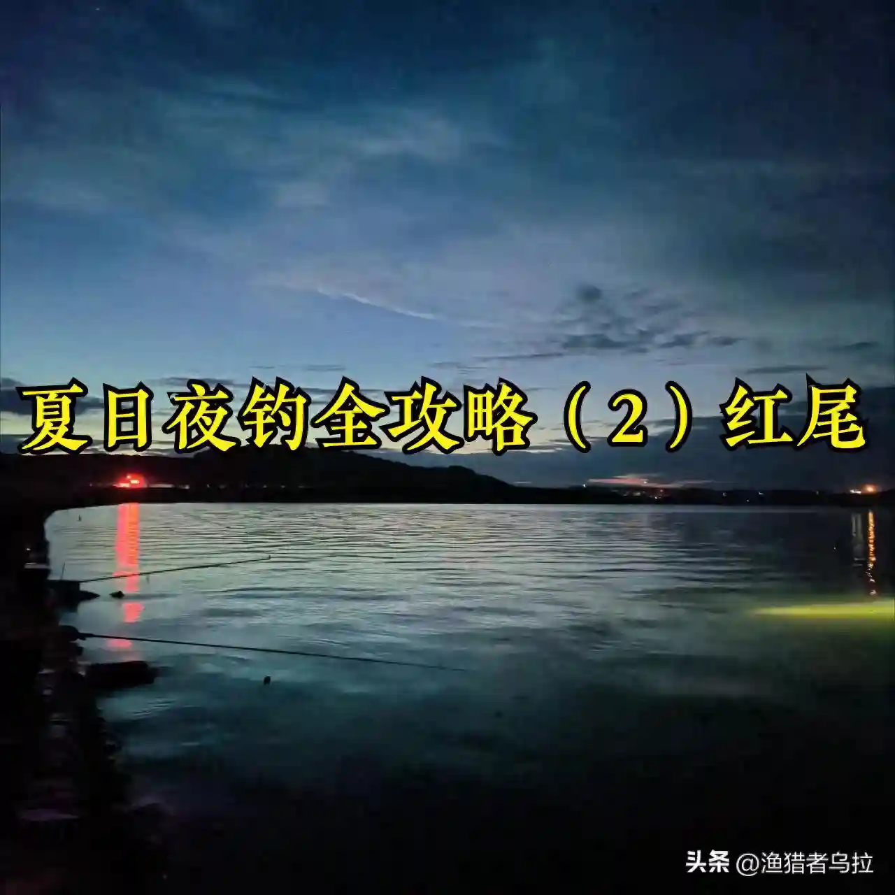 夏日夜钓全攻略（2）：五法速攻红尾 简单粗暴高效！