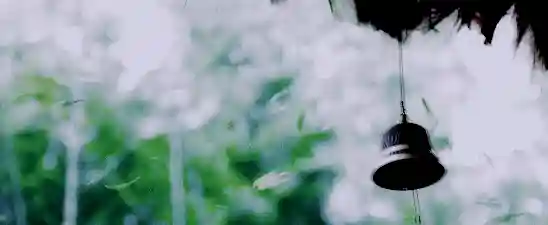 好现实的话，读到心寒