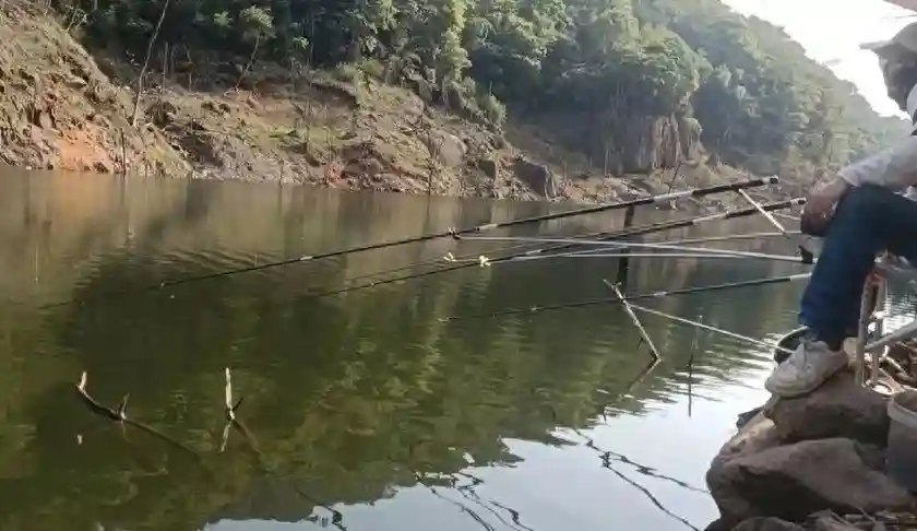 钓了三十年的鱼，总结钓鱼人“最容易入的三个坑”，希望你别犯！