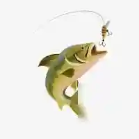 浅谈打浮钓鲫鱼的实战经验技巧--钓鱼技巧和钓鱼鱼饵配方,钓鲫