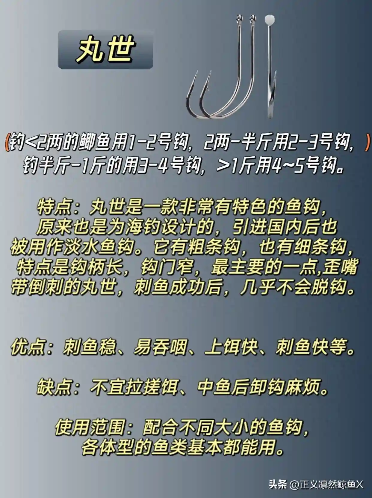 冬季野钓秘籍：11月老钓友偏方，丸世鱼钩助你中鱼率飙升