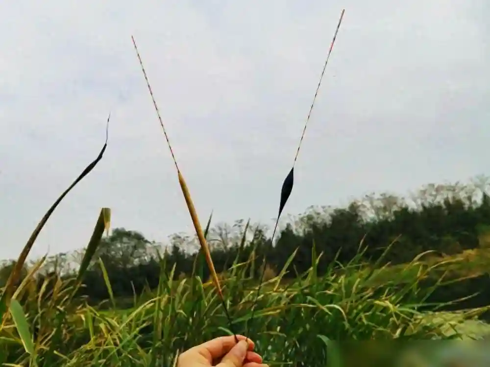 十大浮漂品牌排行榜，你用过几款？你对这个排行榜是否认同？