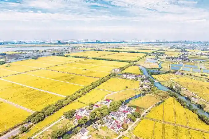 江苏首个县域土地综合整治的“吴江探索”