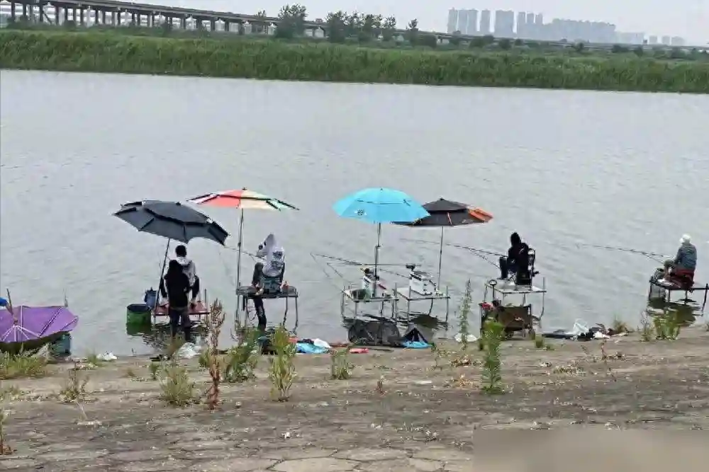 化绍新正式回应钓鱼人小惠离职原因，言语中颇有微词！