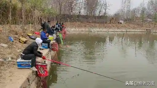 黑坑“坑中坑”，如何垂钓，才能破开黑坑老板小伎俩