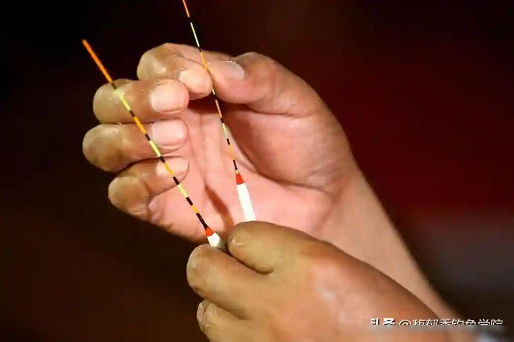 钓鱼时经常空竿是什么原因？钓鱼空竿的4个主要原因