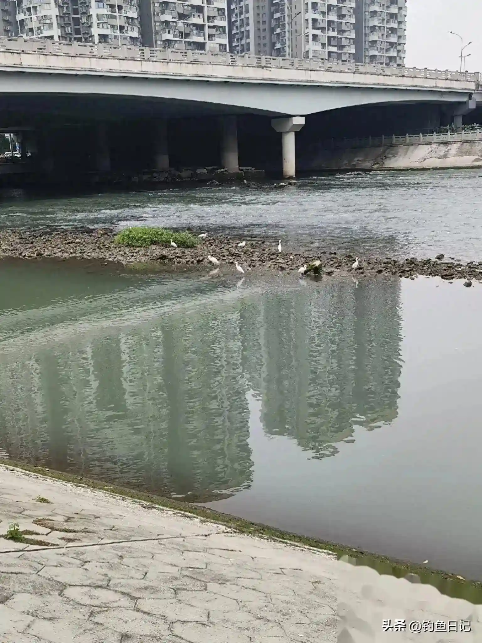 别再研究鱼道了，水道即鱼道，水道更容易看懂