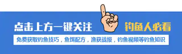 掌握5大技巧，搭配3大调漂妙法，钓黄尾竟如此简单，轻松连杆爆护