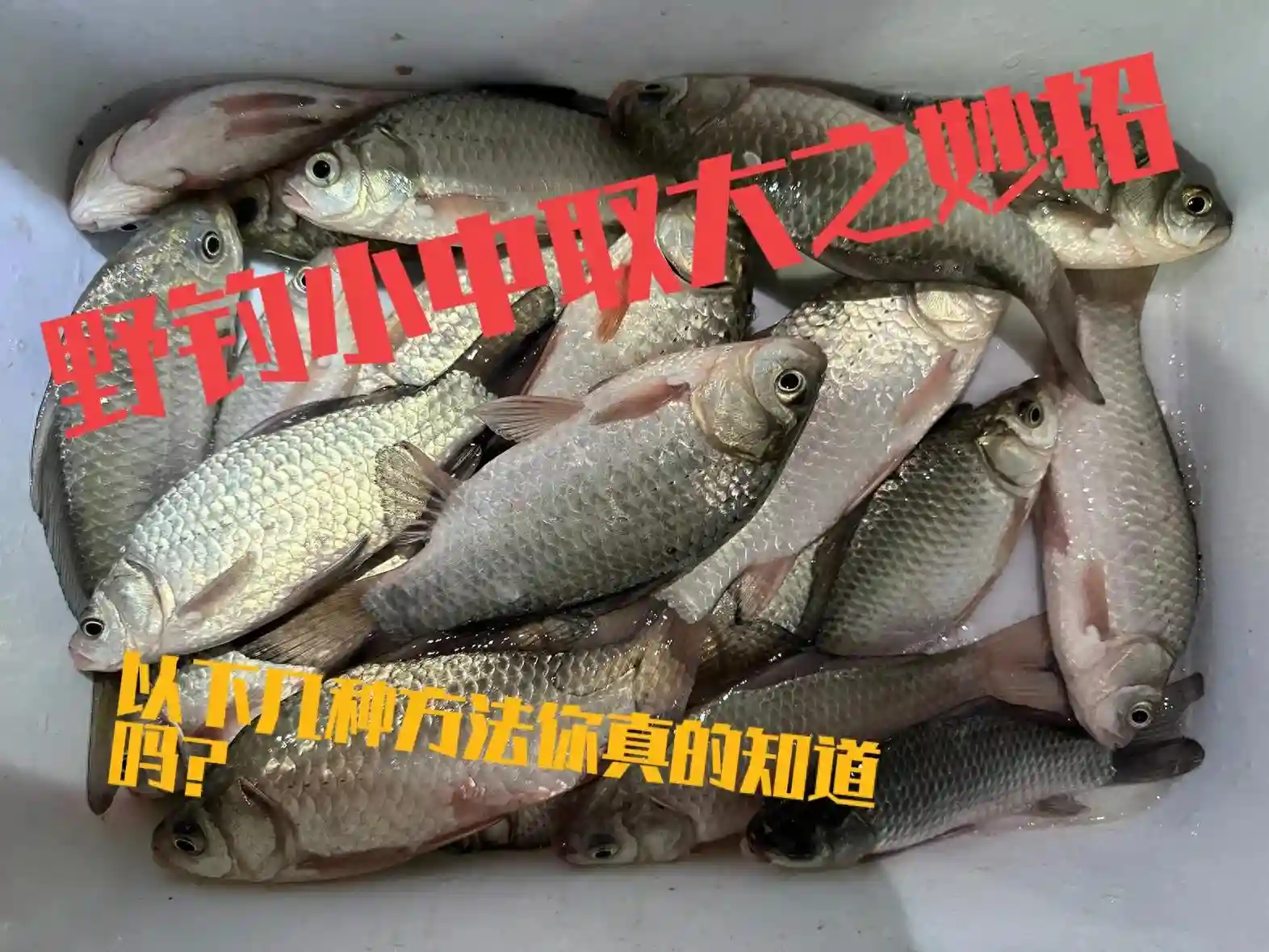 冬季野钓小中取大之妙招