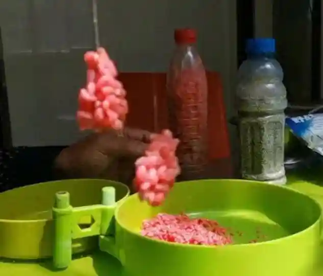 酒米打窝，3种不可取的方式，3种最佳做窝方式