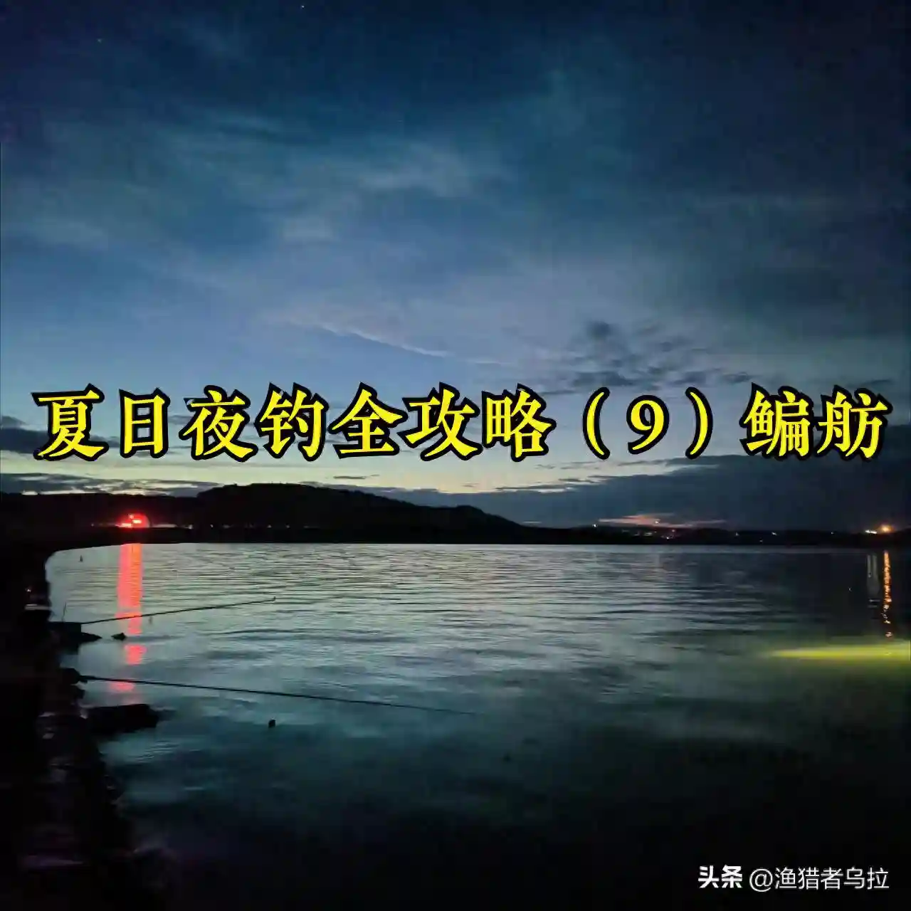 夏日夜钓全攻略（9）夜钓鳊舫熟用四项策略，小技术确有大收获！