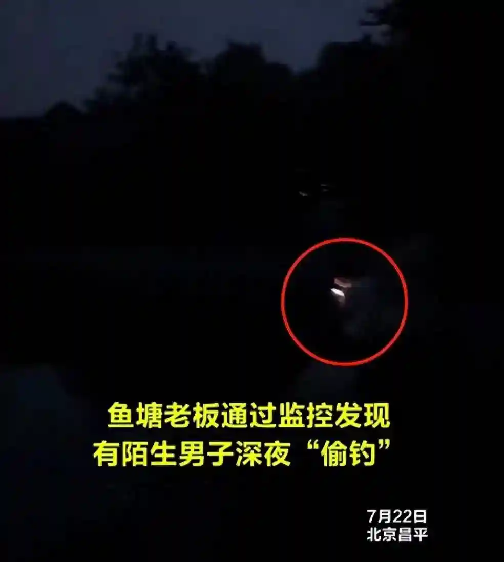 拿两条鱼回家交差！北京男误闯私塘遇温情，空巢失业现状引发关注