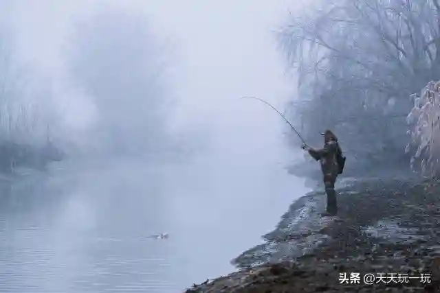 七言诗 初冬寒钓