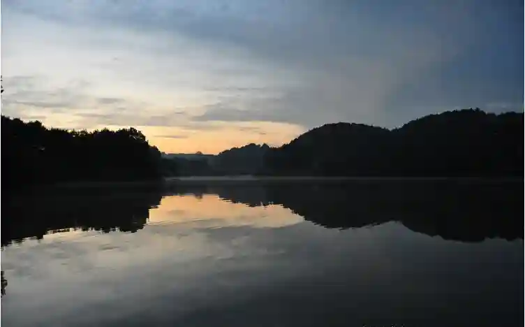青山碧水，细竿轻挑戏野鲤，喜获野生湖鲜