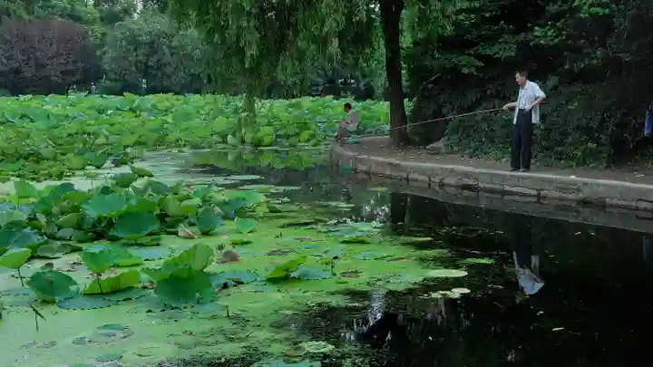 钓鱼时我给了他一包烟，却让我怎么也钓不到鱼