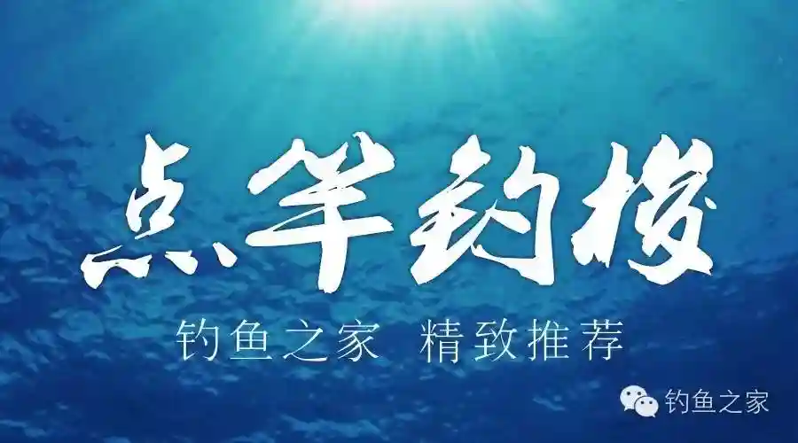 钓技 | 乳山特有“点竿”法海钓梭鱼