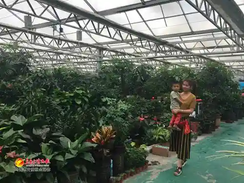 乌鲁木齐城北建成最大综合性花卉市场 花卉、鱼、宠物可一站式购买
