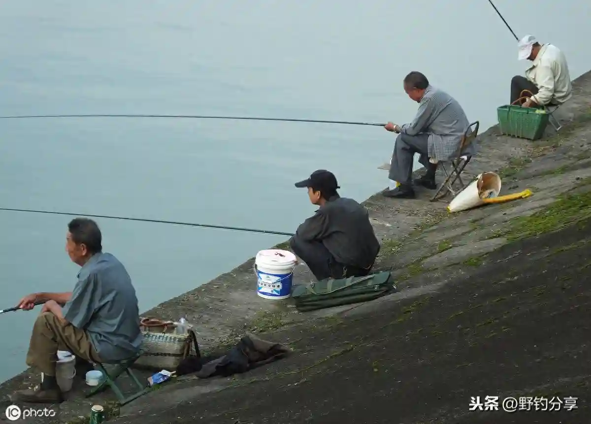 你真的了解太空豆吗？修复浮漂、制作简易跑铅它都可以的
