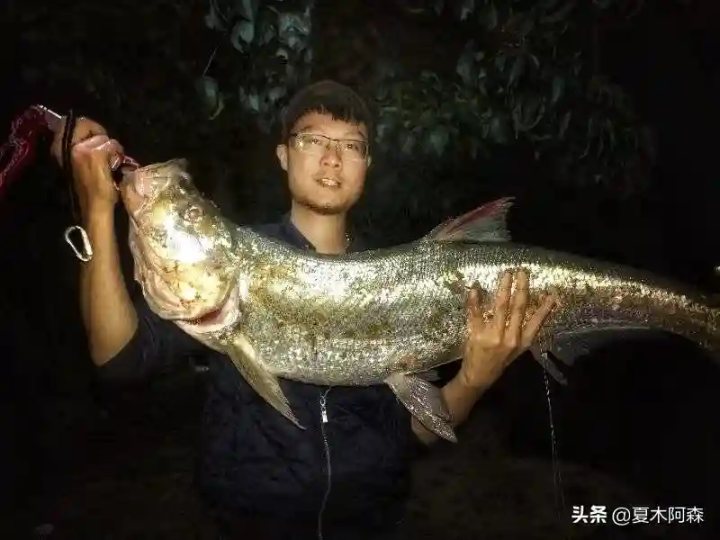 路亚米级翘嘴不是梦，从翘嘴的生活习性入手，助你早日实现