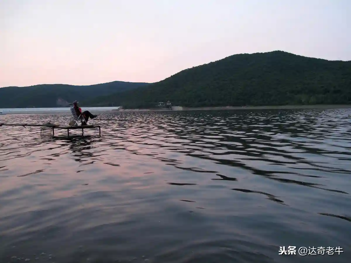 “鱼道”真实存在吗？难怪有人爆护有人空，原来这里有玄机