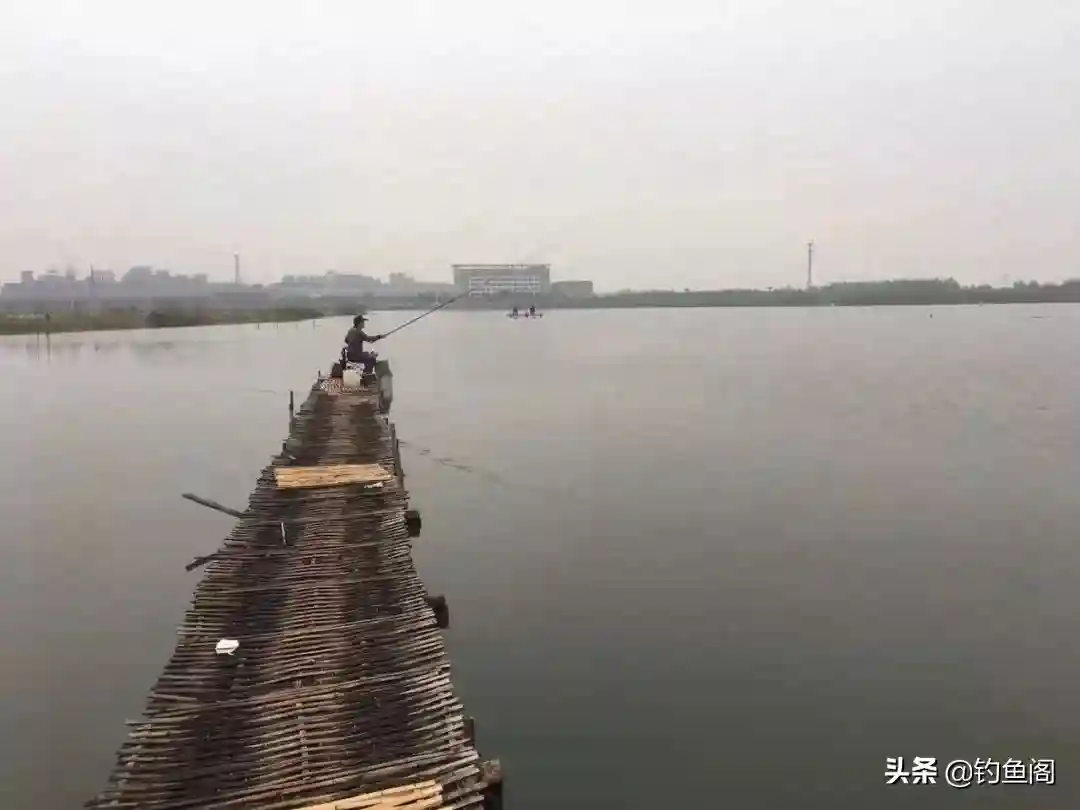 出现黑漂一定要提竿？不一定，了解前因后果才能做出正确判断
