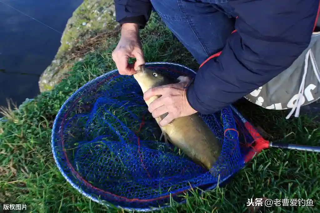 开饵水加多了，饵料反水了！不知如何处理，那就看看这篇文章