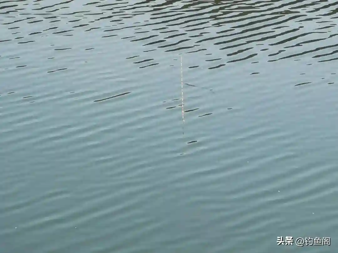 调4钓2已经过时了，调5钓3才灵敏？你还真信啊！