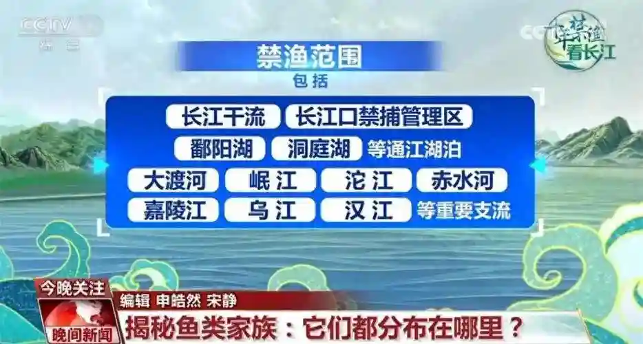 中国年轻人钓鱼有多疯狂？