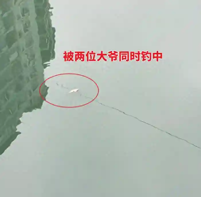 四川两大爷钓中同一条鱼，僵持了1个多小时，网友：这鱼归谁？