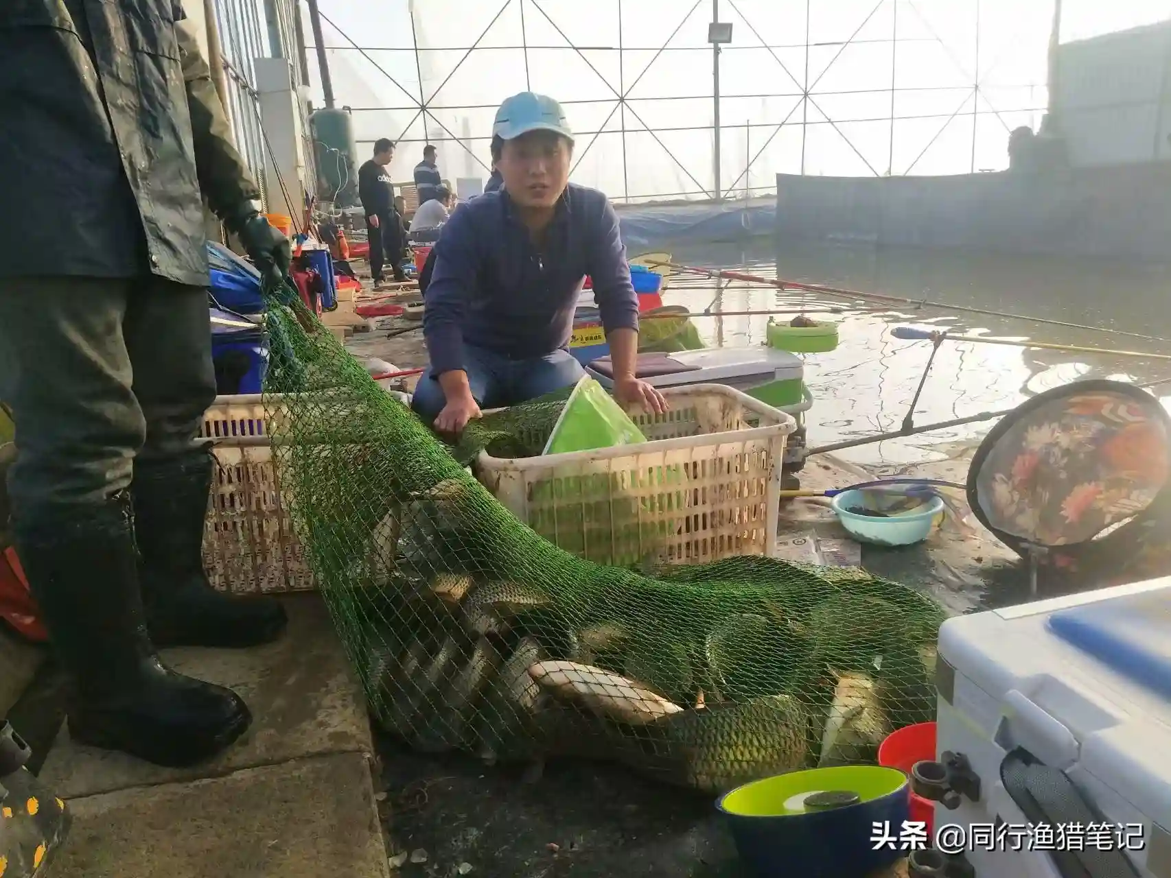 冬季钓鱼什么饵料好？这三款饵料貌似朴实无华用起来却倍棒